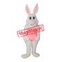 Beautiful White Rabbit Mascot Costume