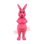 Lovely Pink Kangaroo Mascot Costume