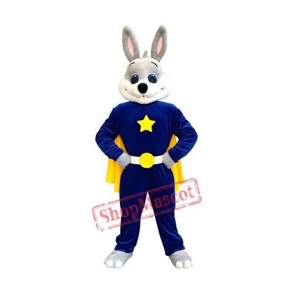 Hero Rabbit Mascot Costume