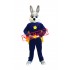 Hero Rabbit Mascot Costume