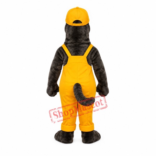 Friendly Seal Mascot Costume