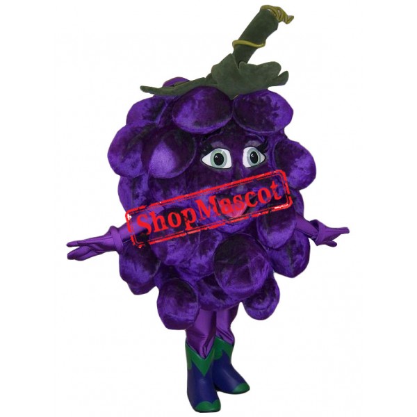 Superb Grape Mascot Costume