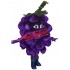 Superb Grape Mascot Costume