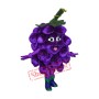Superb Grape Mascot Costume