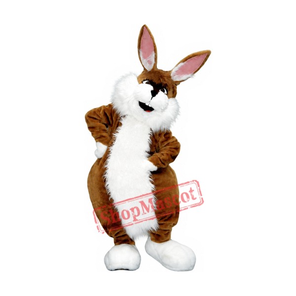 Happy Lightweight Brown Rabbit Mascot Costume Happy Lightweight Brown Rabbit Mascot Costume