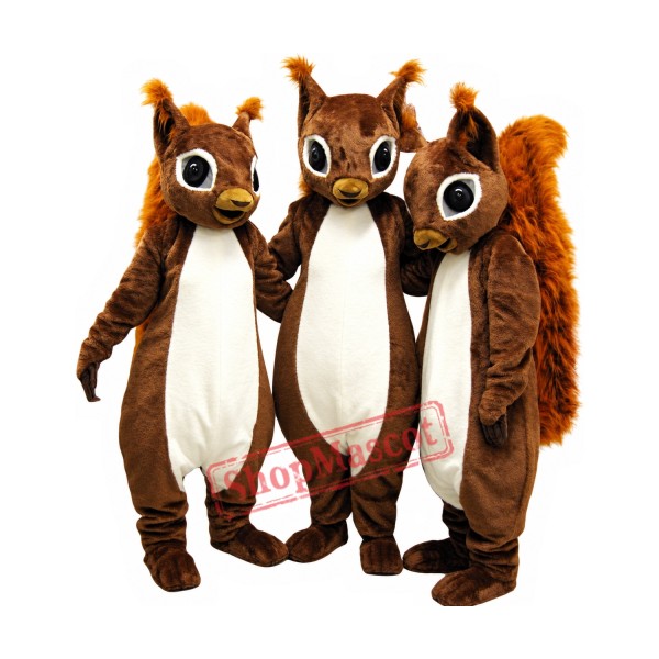 Lovely Single Squirrel Mascot Costume