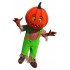 Superb Halloween Pumpkin Mascot Costume