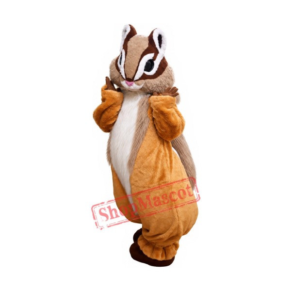 Superb Lovely Squirrel Mascot Costume