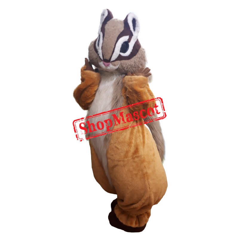 Superb Lovely Squirrel Mascot Costume