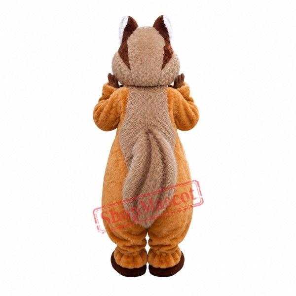 Superb Lovely Squirrel Mascot Costume