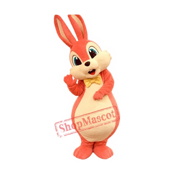 Superb Lovely Pink Rabbit Mascot Costume