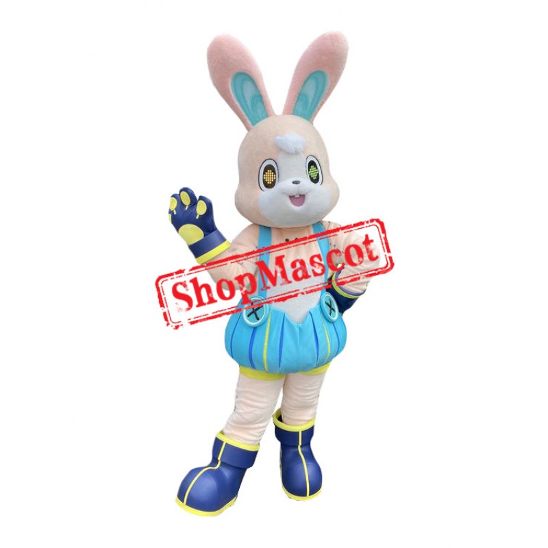 Lovely Cartoon Rabbit Mascot Costume