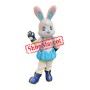 Lovely Cartoon Rabbit Mascot Costume