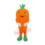 Superb Lightweight Carrot Mascot Costume