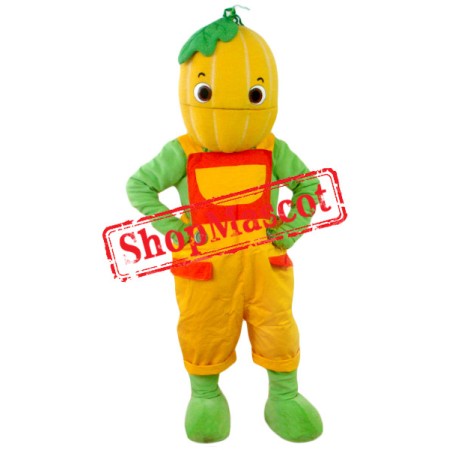 Superb Pumpkin Boy Mascot Costume