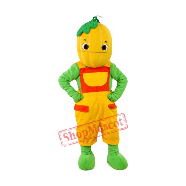 Superb Pumpkin Boy Mascot Costume