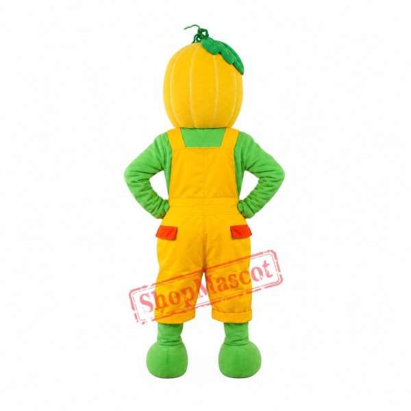 Superb Pumpkin Boy Mascot Costume Superb Pumpkin Boy Mascot Costume