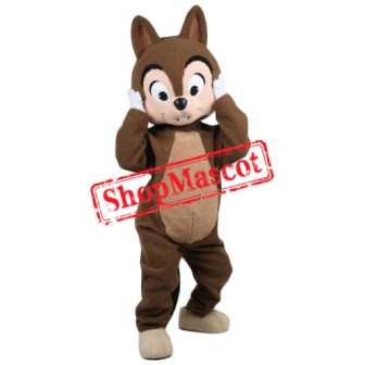 Superb Friendly Lightweight Squirrel Mascot Costume