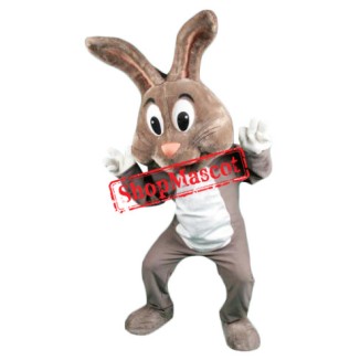 Lovely Brown Rabbit Mascot Costume