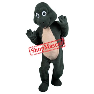 Friendly Turtle Mascot Costume