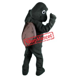 Friendly Turtle Mascot Costume