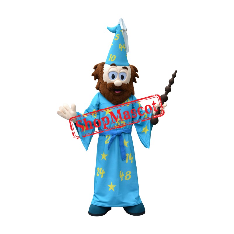 Superb Wizard Mascot Costume