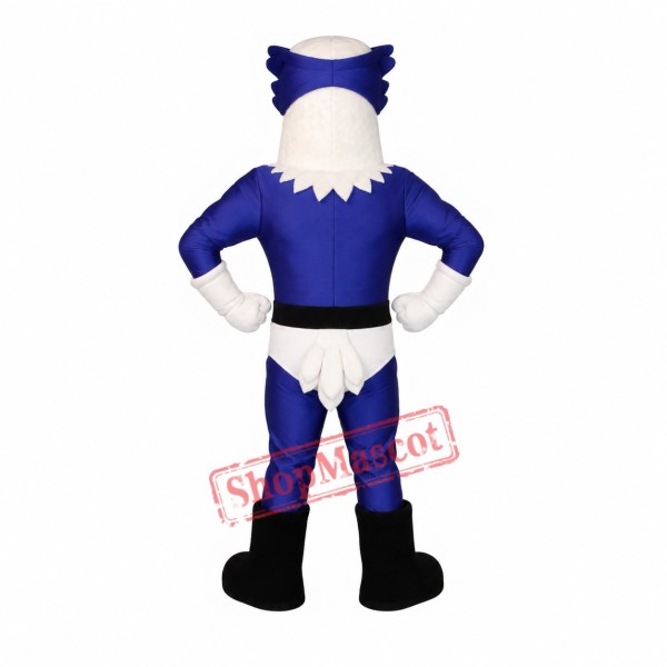 Hero Eagle Mascot Costume