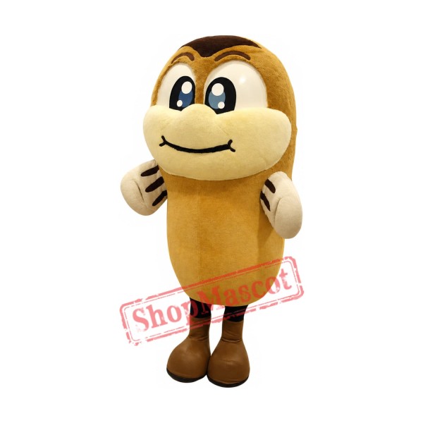 Superb Brown Fish Mascot Costume