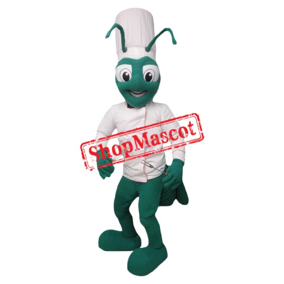 Chef Cricket Mascot Costume
