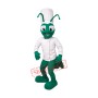 Chef Cricket Mascot Costume