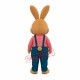 Superb Brown Lightweight Rabbit Mascot Costume