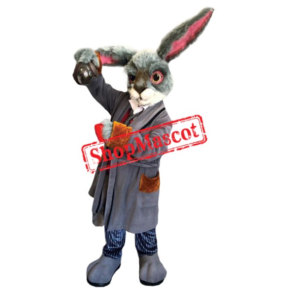 Superb Grey Rabbit Mascot Costume