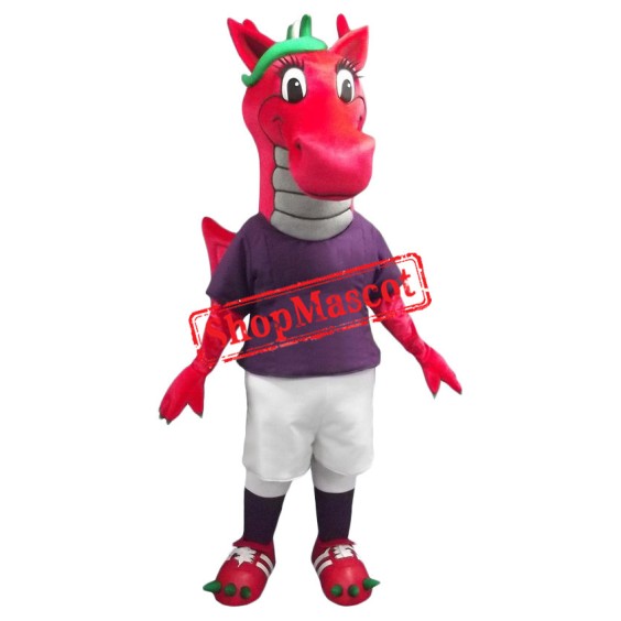 Superb Lightweight Red Dragon Mascot Costume