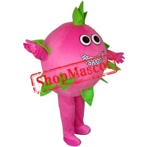 Pitaya Mascot Costume