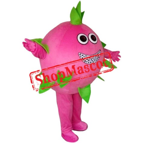 Pitaya Mascot Costume