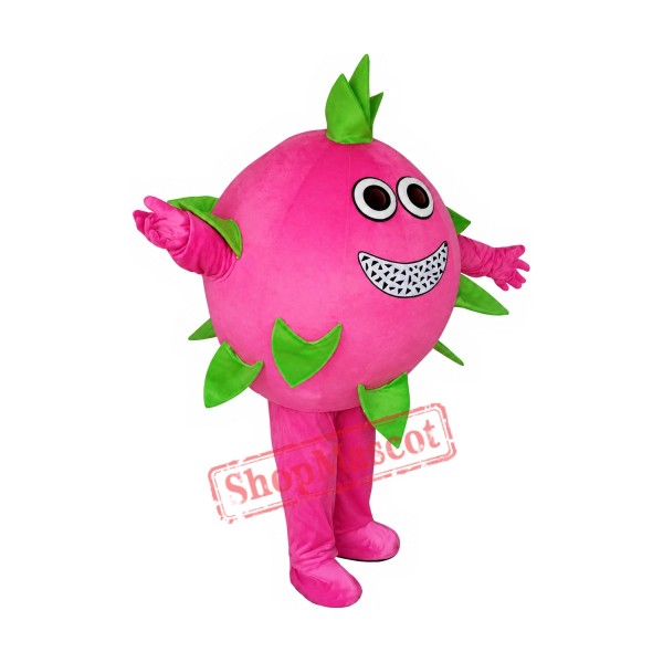 Pitaya Mascot Costume