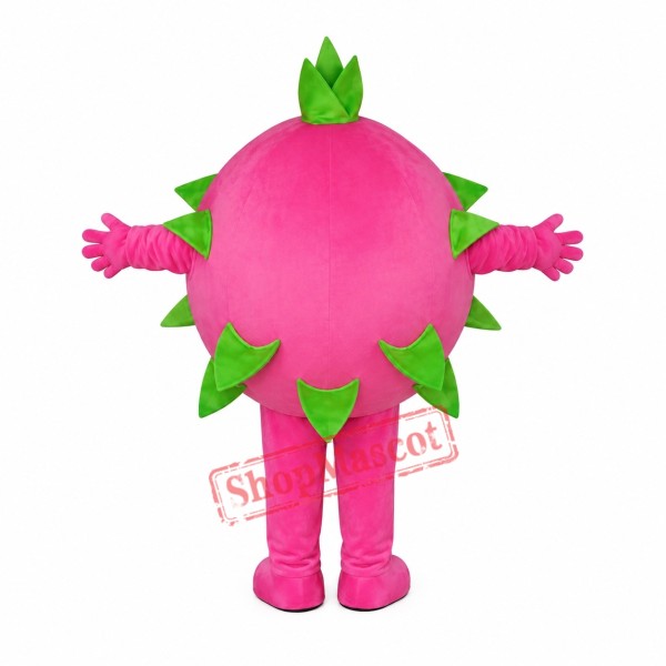 Pitaya Mascot Costume Pitaya Mascot Costume