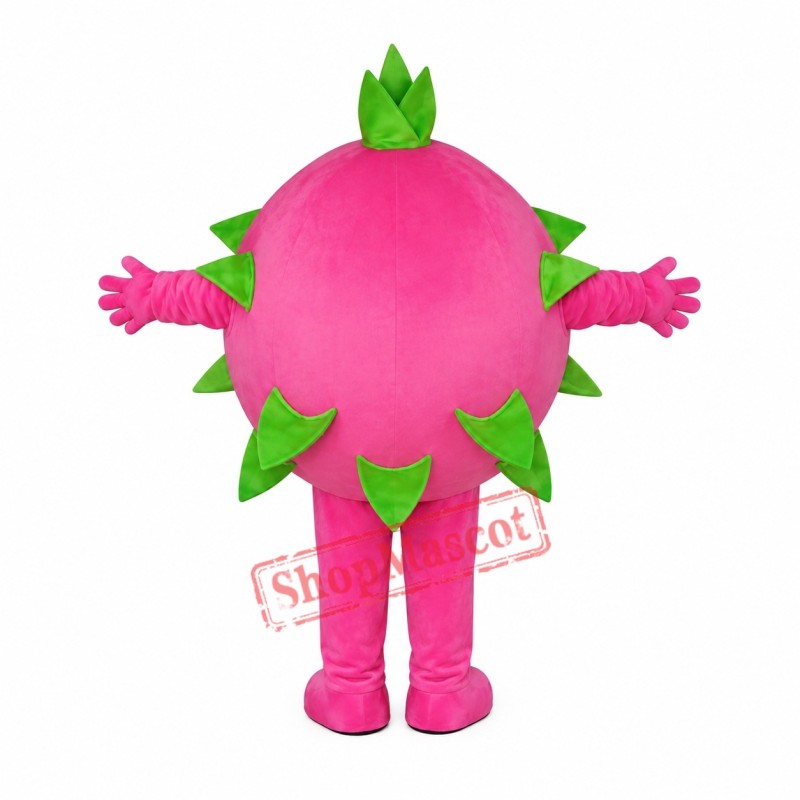 Pitaya Mascot Costume Pitaya Mascot Costume