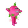 Pitaya Mascot Costume