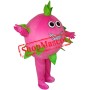 Pitaya Mascot Costume