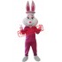 Lovely Lightweight Pink Rabbit Mascot Costume
