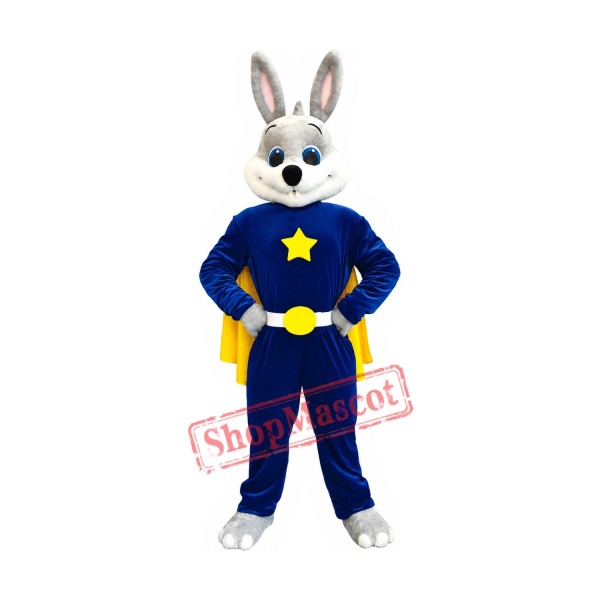 Friendly Rabbit Hero Mascot Costume