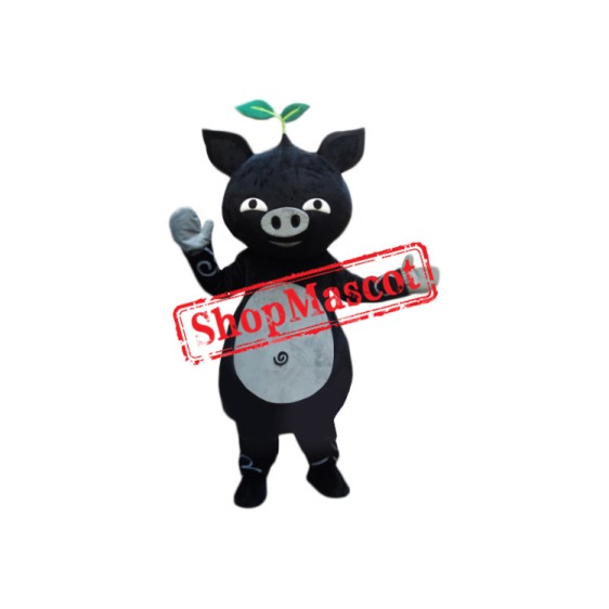 Affordable Black Pig Mascot Costume