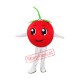 Cherry Mascot Costume