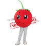 Cherry Mascot Costume