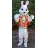 Friendly Realistic Easter Bunny Mascot Costume