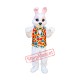 Friendly Realistic Easter Bunny Mascot Costume Friendly Realistic Easter Bunny Mascot Costume