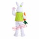 Friendly Easter Rabbit Bunny Mascot Costume