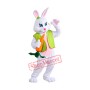 Friendly Easter Rabbit Bunny Mascot Costume