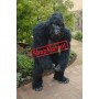 Friendly Lightweight Gorilla Mascot Costume